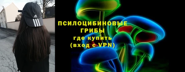 крисы Баксан