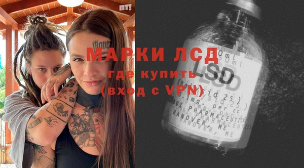 крисы Баксан