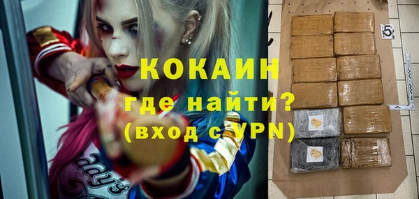крисы Баксан