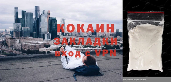 крисы Баксан