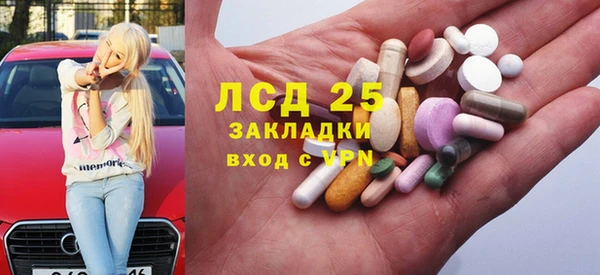 крисы Баксан